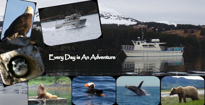 Kodiak Alaska - Kodiak Island Adventures